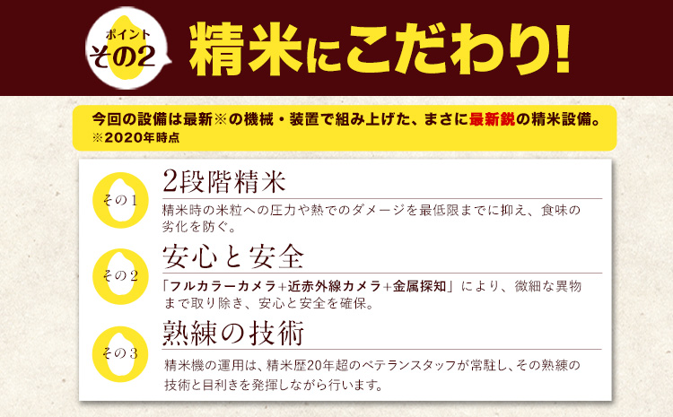 【6ヶ月定期便】 白米 ひのくに米 15kg 《お申込み月の翌月から出荷開始》 食品 米 こめ コメ 熊本県産 ふるさと納税 お米 おこめ 熊本---ubuyamatei_lcl_171_mo6num