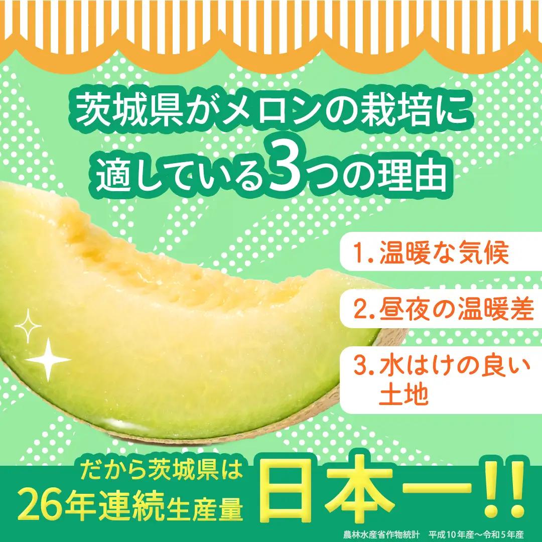 【定期便】 アールスメロン 3玉 × 12か月連続