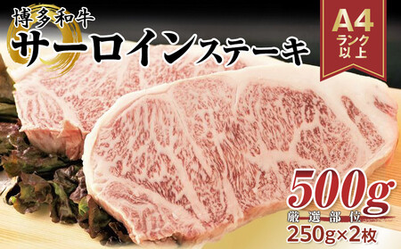 博多和牛 サーロインステーキセット 500g ( 250g×2枚 )｜博多 和牛 サーロイン ステーキ 肉 福岡
