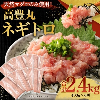 【6回定期便】【訳あり】高豊丸 ネギトロ 合計2.4kg (400g×6回) ふるさと納税限定 高品質 まぐろたたき まぐろのたたき 訳あり 魚 惣菜 小分け 海鮮丼 手巻き寿司 冷凍 頒布会 [tk018]
