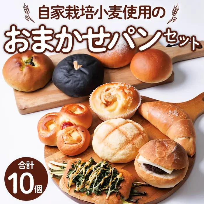 おまかせパンセット(合計10個) パン 朝ごはん 朝食 おやつ 食べ比べ お楽しみ 詰合せ ふすま【119600200】【黒川さんちのパン】