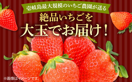 ゆめのか 250g × 2パック [JEM005] いちご 苺