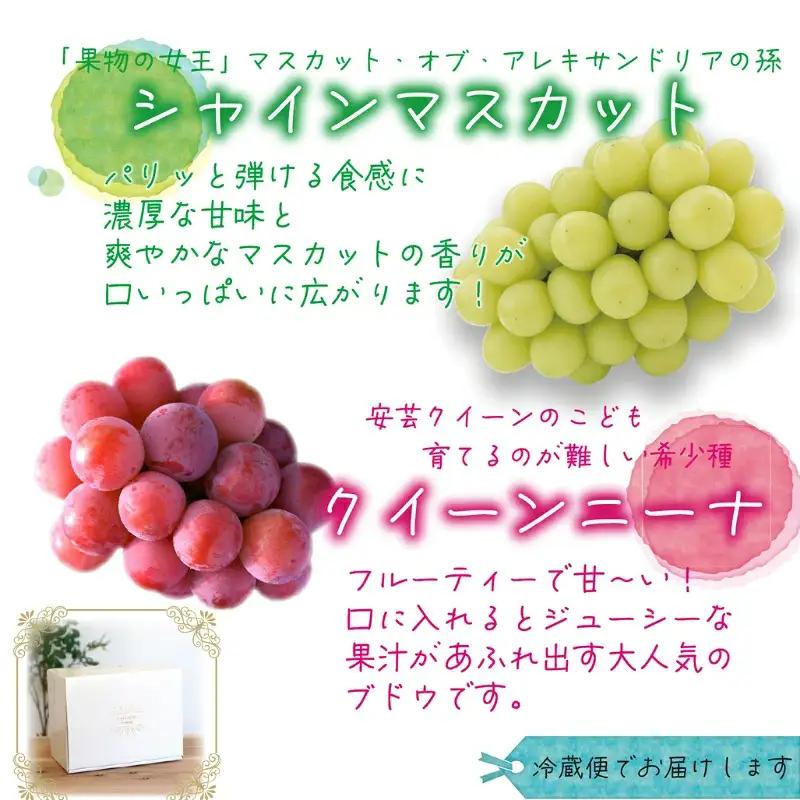 ぶどう 岡山県産シャインマスカット＆クイーンニーナぶどう 1㎏（2房） 【hana066-02】