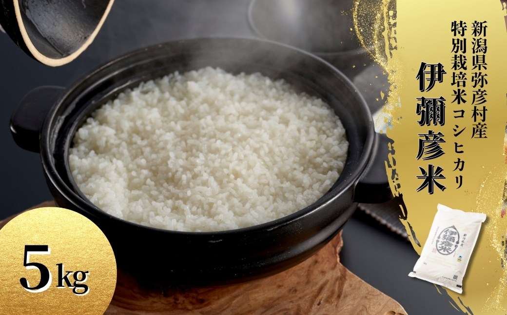 令和8年産新米先行予約 特別栽培米コシヒカリ「伊彌彦米」5kg(5kg×1袋) 精米) | 新潟産コシヒカリ 新潟県産コシヒカリ 新潟県産こしひかり お米 白米 精米 こしひかり 5キロ ギフト 贈答 贈り物 弥彦村 いやひこまい