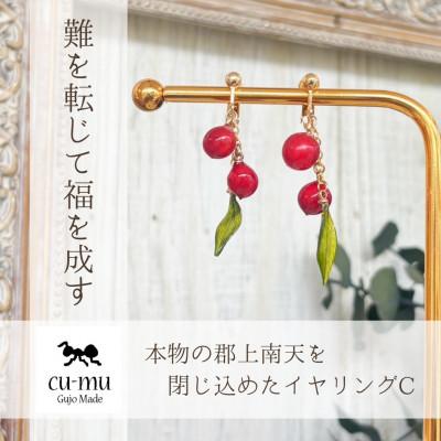 ふるさと納税 郡上市 本物の南天を閉じ込めたイヤリングC