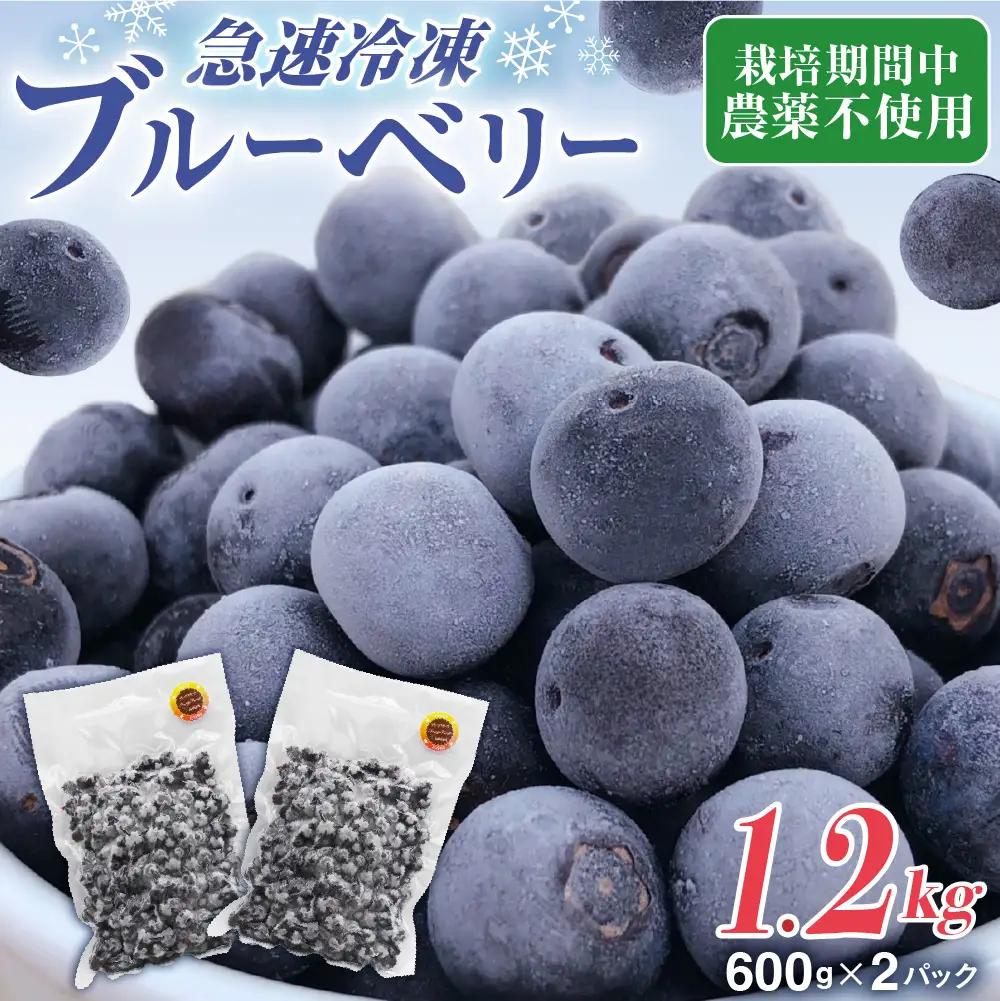 【2026年7月より順次発送】栽培期間中農薬不使用！急速冷凍ブルーベリー 1.2kg 【JAほたるの里】_HA1517 | ベリー フルーツ