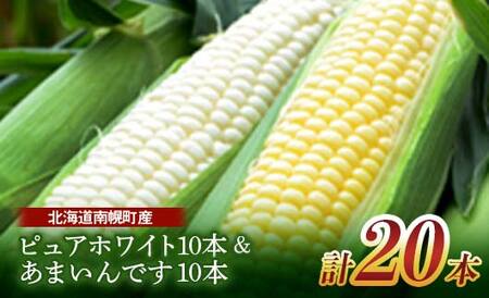 北海道産 とうもろこし 令和8年発送 ピュアホワイト10本＆あまいんです10本 食べ比べ 南幌町 NP1-171