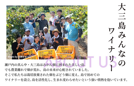 島ロゼ・しまんかジュースセット【V003330】