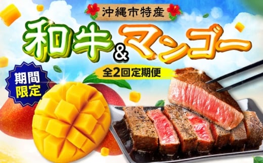 マンゴー ステーキ 【全2回定期便】 和牛 アップルマンゴー 仲村農園 / 肉のサブロー [BCZZ049] 沖縄市特産  沖縄 牛肉 希少部位 ステーキ すてーき サーロインステーキ サーロイン さーろいん Steak マンゴー まんごー Mango mango 芒果 フルーツ 肉 にく お肉 おにく 2回 定期便 果物 果実 アップル マンゴー ステーキ肉 黒毛和牛 沖縄県産 沖縄