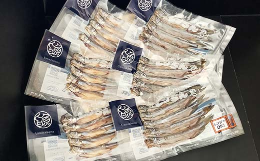 レンちん君釧路産本ししゃもセット シシャモ 冷凍 魚 海産物 一夜干し 北海道 F4F-8446