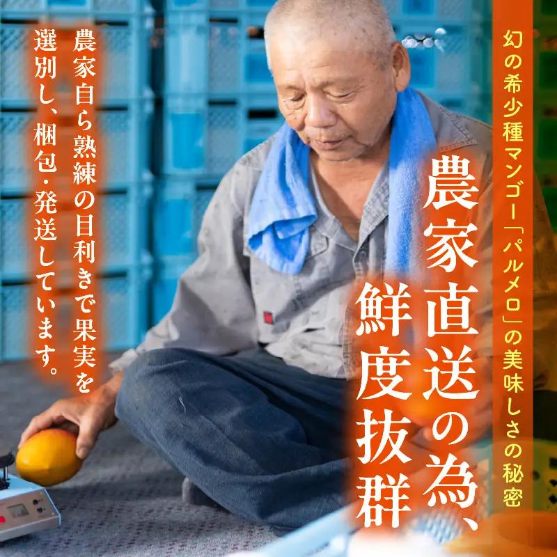 マンゴー パルメロ マンゴー[宮崎 1玉 希少種 650g以上 糖度20度以上]