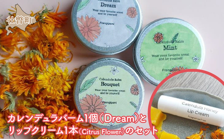 カレンデュラバーム1個（Dream）とリップクリーム1本のセット リップCitrusFlower