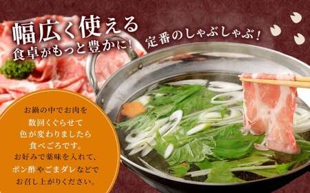【6回定期便】鹿児島県産 黒豚 肩ロース しゃぶしゃぶ 合計4.8kg（800g×6回） 黒豚 豚肉 豚バラ 肉 お肉 GS-614