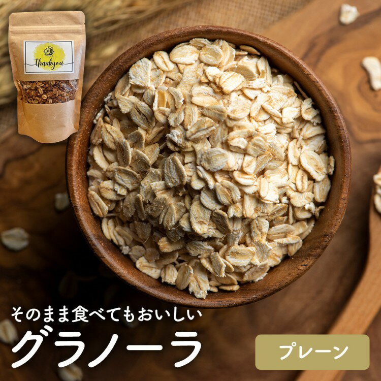 【ふるさと納税】【Your,GURT&GRANOLA】グラノーラ プレーン | グラノーラ シリアル 朝食 朝ごはん 食品 おやつ はちみつ 送料無料 岐阜県 瑞穂市