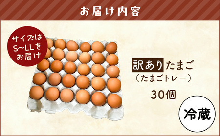 訳あり たまご　（ たまごトレー ） T074-002 訳あり卵 卵 タマゴ 平飼い卵 卵かけごはん HokkaidoGreenCompany ふるさと納税 北海道 苫小牧市 おすすめ ランキング プ