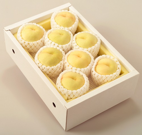 【先行予約】岡山県産　岡山白桃８～１０玉（約2.0㎏）