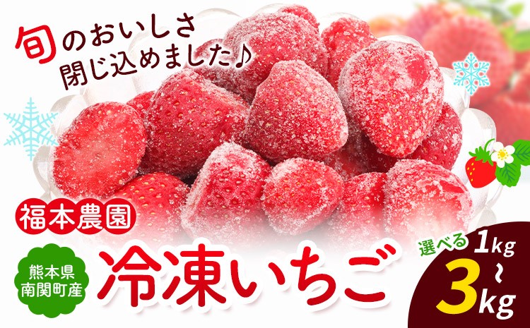 
                  冷凍いちご ゆうべに 1kg 3kg 福本農園《60日以内出荷予定(土日祝除く)》熊本県 南関町 苺 イチゴ 冷凍 果物 フルーツ 国産 熊本 南関 デザート スムージー かき氷 ヨーグルト 朝採り 旬 小分け 500g 加工用 おやつ 保存
                