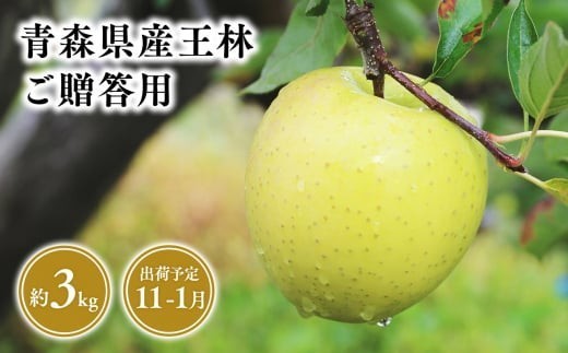 
                  2026年産 １１月～１月発送　贈答用王林3kg【青森県 平川市 そと川りんご園】
                