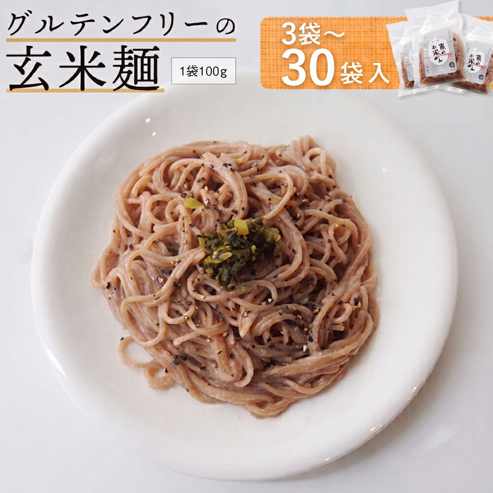 【ふるさと納税】グルテンフリー 米粉麺 3～30袋（100g×袋）玄米麺 ライスヌードル 国産 無添加 京都府舞鶴産 小麦アレルギー対応