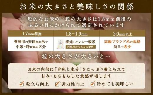 ＜ 令和7年産 ＞ 阿蘇だわらプレミアム米 精米 20kg ( 5kg × 4袋 ) お米 米 こめ コメ 白米 白飯 飯 ご飯 おにぎり 国産 熊本県産 大粒 粒立ち 食感 【14営業日以内発送予定