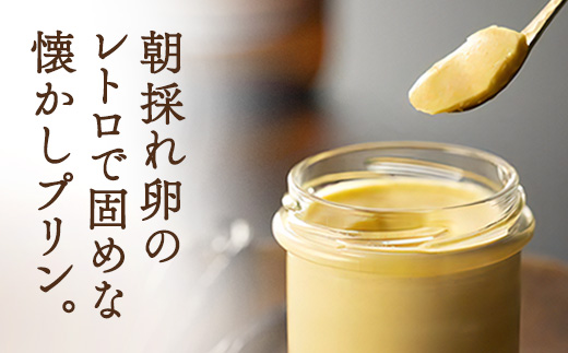 《黒糖ゼリー入り》氷山プリン プレーン味(6個入り) こだわり プリン 人気 スイーツ デザート 洋菓子 奄美大島 宇検村 鹿児島【 プリン専門店che 】