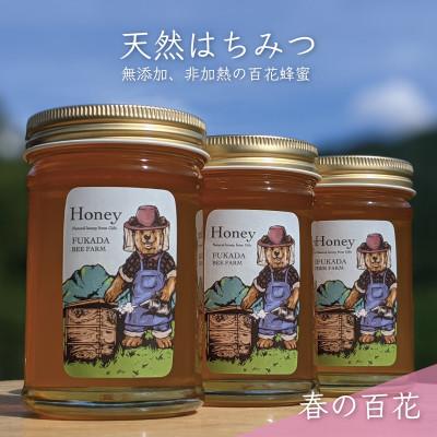 ふるさと納税 美濃市 合計690g 深田養蜂の天然蜂蜜 国産蜂蜜 非加熱 生はちみつ 岐阜県 美濃市産 春 A3