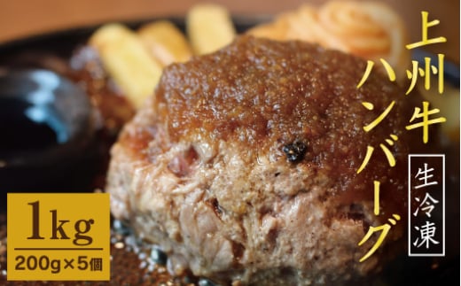 【193】 生冷凍 上州牛ハンバーグ 1kg（200g×5個）