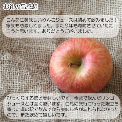 ふるさと納税 小川村 サンふじりんご100%ジュース1L2本*201 |  | 03