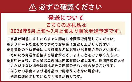 【2024年4月上旬発送開始】熊本産 西瓜 約5kg～1玉入り すいか 果物 フルーツ