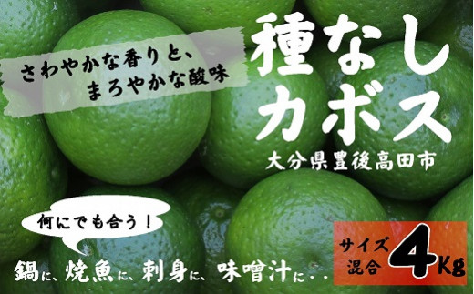 【かぼす】 種なしカボス4kg（サイズ混合） かぼす カボス 香酸柑橘 柑橘 調味料 たねなしかぼす 種無しかぼす