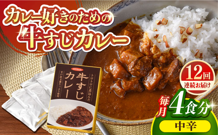 
            【全12回定期便】【とろっとろになるまで煮込んだ】牛すじカレー 4食セット（中辛） 平戸市 / カレー工房 NVfoods [KAB266]カレー レトルト スパイス ご当地カレー 通販 お取り寄せ グルメ 簡単調理 保存食
          