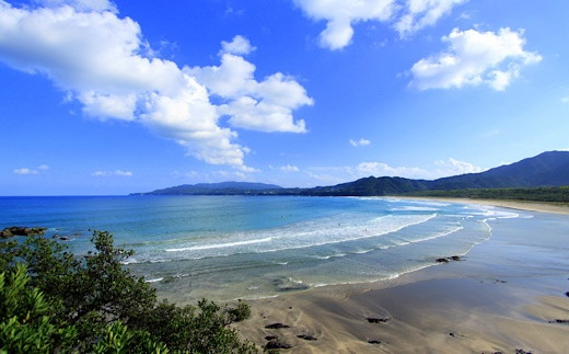 サーファー集まる「大岐の浜」