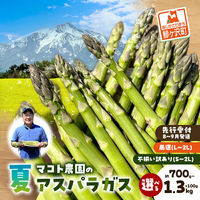 【ふるさと納税】アスパラガス 先行予約 夏アスパラガス 選べる 約700g～1.3kg+100g 約25～50本 S～2L 厳選 訳あり 不揃い マコト農園 規格外 アスパラ グリーンアスパラ 野菜 旬 旬の野菜 産地直送 2026年 2026 予約　お届け：2026年8月1日～2026年9月10日