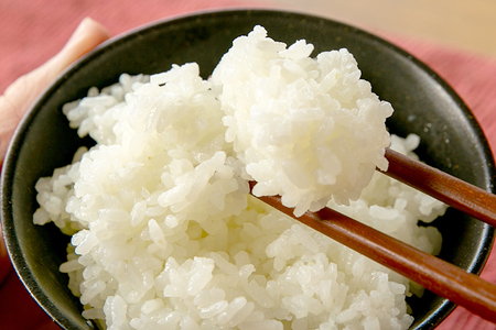 【令和7年度新米先行予約】新潟県加茂市 七谷産コシヒカリ 玄米5kg 《10月中旬～順次発送》 新潟産コシヒカリ 豊かな山水で育った天水米 加茂市 YAGOROU ヤゴロウ