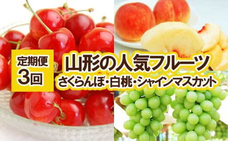 ★定期便3回★山形の人気フルーツ(さくらんぼ・白桃・シャインマスカット)【令和8年産先行予約】FU23-310 くだもの 果物 フルーツ 山形 山形県 山形市 2026年産