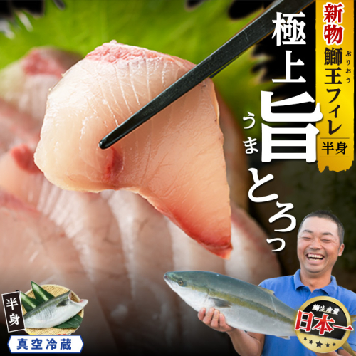 【14日前後で発送中】 『旅サラダ』で紹介ぶりの王様 新物 「 鰤王 」 フィレ 半身 (約0.8kg・フィレ1枚) 産地直送 新鮮 旨味が抜群の 長島町 特産品 ブランド ぶり 鰤 ブリ 切り身 真空 冷蔵 刺身 ぶりしゃぶ しゃぶしゃぶ 魚 魚介 人気 ランキング 【JFA】jfa-7126R8