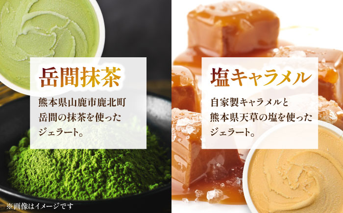 ジェラート 6個入り （ジャージーミルク、山鹿和栗、岳間抹茶、塩キャラメル、ショコラ、洒落柿クリームチーズ 各1個）　（各100ml） 【株式会社パストラル】 [ZAR001]
