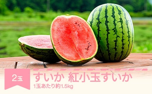 
            【先行予約】すいか 紅小玉すいか 秀品  2玉 愛娘さくら ピノガール  令和8年産 2026年産 スイカ 果物 ※沖縄・離島への配送不可 no-subkx2
          