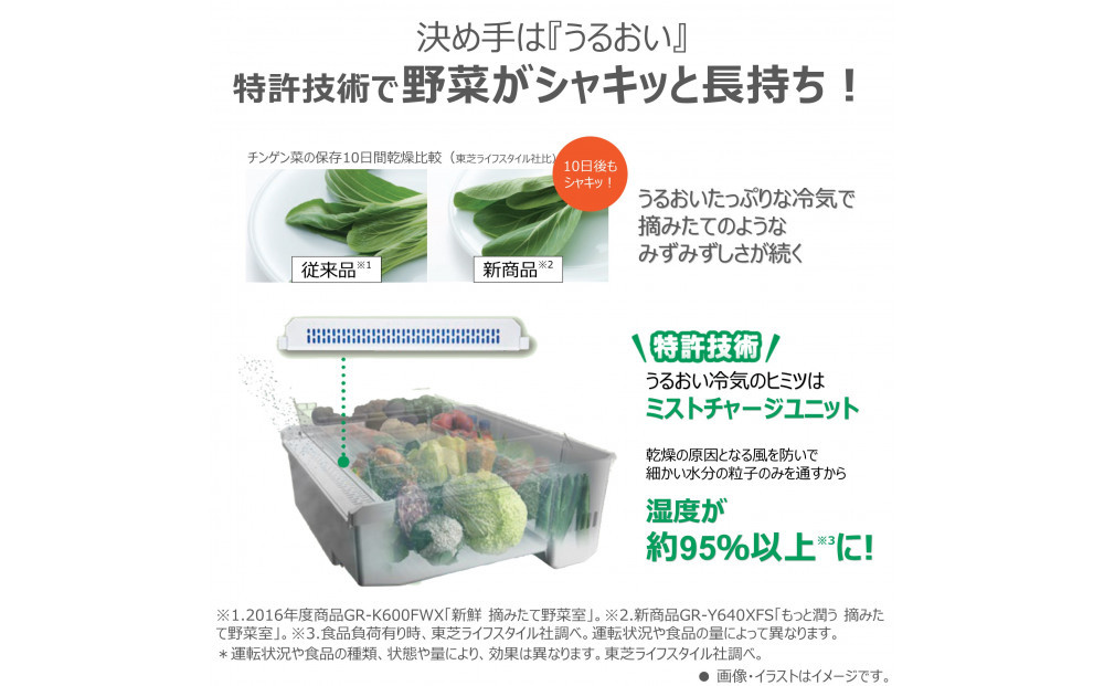 東芝　冷蔵庫【標準設置費込み】　643L　6ドア　両開き　冷凍冷蔵庫　GR-Y640XFS(TW)
