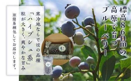 【通常配送】標高860mの高原で育ったブルーベリー(冷凍）1パック 国産 ブルーベリー 380g | フルーツ おやつ 製菓 冷凍 果物 冷凍フルーツ 発送時期が選べる 治助ファーム LJ005VC1