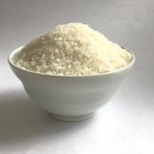 米 20kg / こしひかり 能登の心米（精米20Kg）10kg×2袋 コシヒカリ 米　※2024年10月中旬頃より順次発送予定