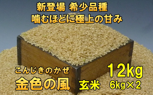 【令和6年産】【玄米12kg】新登場の高級米 岩手県奥州市産 金色の風  玄米12kg（6kg×2） [AC031]