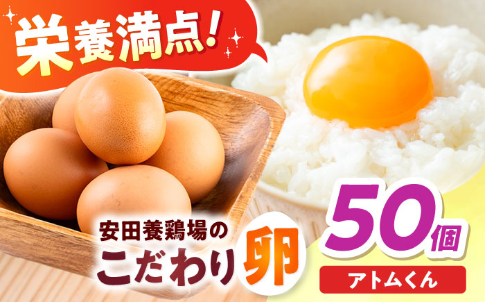 安田養鶏場の卵 アトムくん 50個入り 横須賀市 産地直送 たまご 黄身 濃厚 卵 玉子 タマゴ 鶏卵  【安田養鶏場】 [AKHN004]