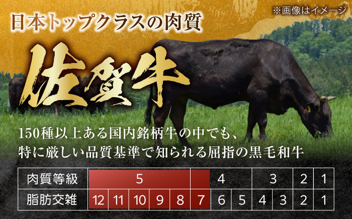 【訳あり】佐賀牛 A4 A5等級 サイコロステーキ 400g （モモ・ヒレ・イチボ・カルビ） 吉野ヶ里町/NICK’S MEAT [FCY040]