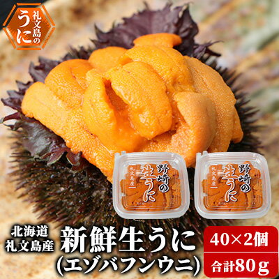 【ふるさと納税】北海道 礼文島産 新鮮生うに（ エゾバフンウニ）40g×2個 ウニ 雲丹 魚貝類 80g 　お届け：2026年6月上旬～8月下旬まで