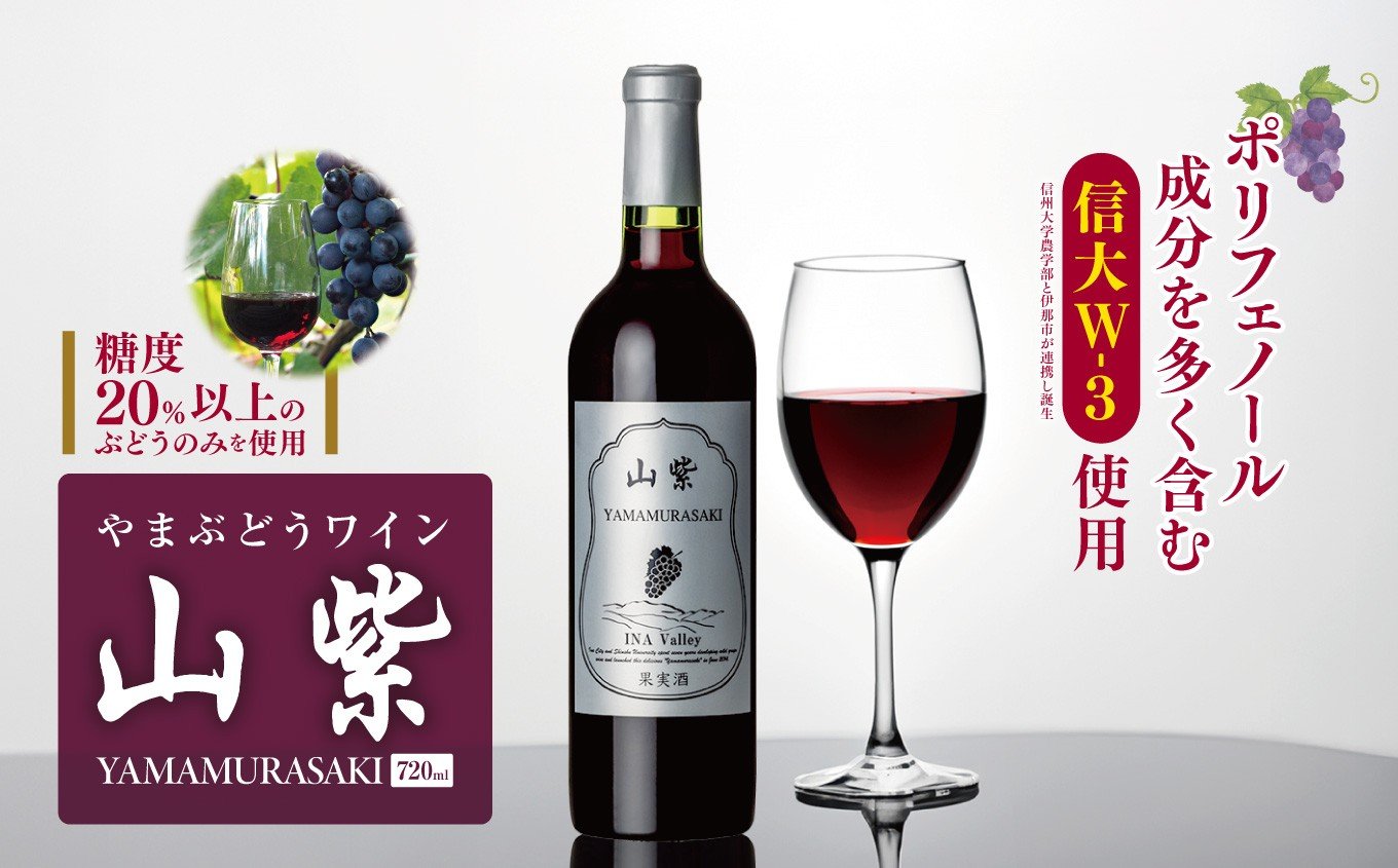 
            ワイン 日本ワイン やまぶどうワイン 「山紫」 720ml 1本 | ワイン wine 山ぶどう 山葡萄 ぶどう 信州大学 信大W-3 ポリフェノール 伊那ブランド ふるさと納税 返礼品 信州産 長野県 伊那市 【012-70】
          