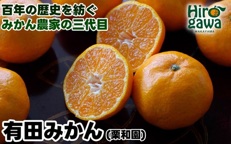 有田 みかん 3.5kg 栗和園 / 温州みかん 有田みかん 甘い 和歌山 柑橘 ※2026年11月上旬～12月下旬に順次発送 【krw004-r-3d5】