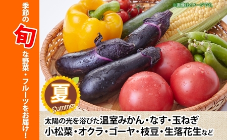 湘南産 地場野菜 フルーツ 詰合せ セット旬 新鮮 産地直送 温室みかん なす 玉ねぎ 小松菜 オクラ ゴーヤ 枝豆 生落花生 柿 きゅうりさつまいも さといも キャベツ お取り寄せグルメ 季節 家庭