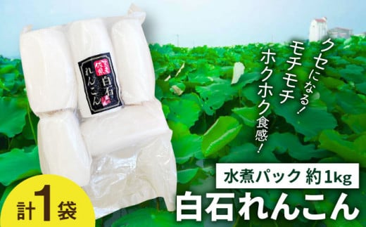 【お手軽調理！】白石町産 水煮れんこん 計1kg（真空パック）【有限会社白石開発】 [IBN005]