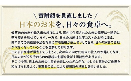 米 無洗米 家庭用 熊本 ふるさと応援米 20kg 熊本県産 精米 山江村 ブレンド米 国産 洗わず おうちご飯 返礼品 発送 配送 SDGs 《1-5日以内に出荷予定(土日祝除く)》